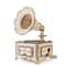 EWA™ Eco-Wood-Art Gramophone 3D Wooden STEM Construction Kit